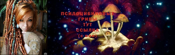 твердый Бугульма