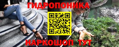 кокс Донской