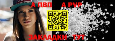 кокс Донской