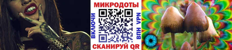 даркнет сайт  Минеральные Воды  omg ССЫЛКА  Псилоцибиновые грибы Psilocybe 