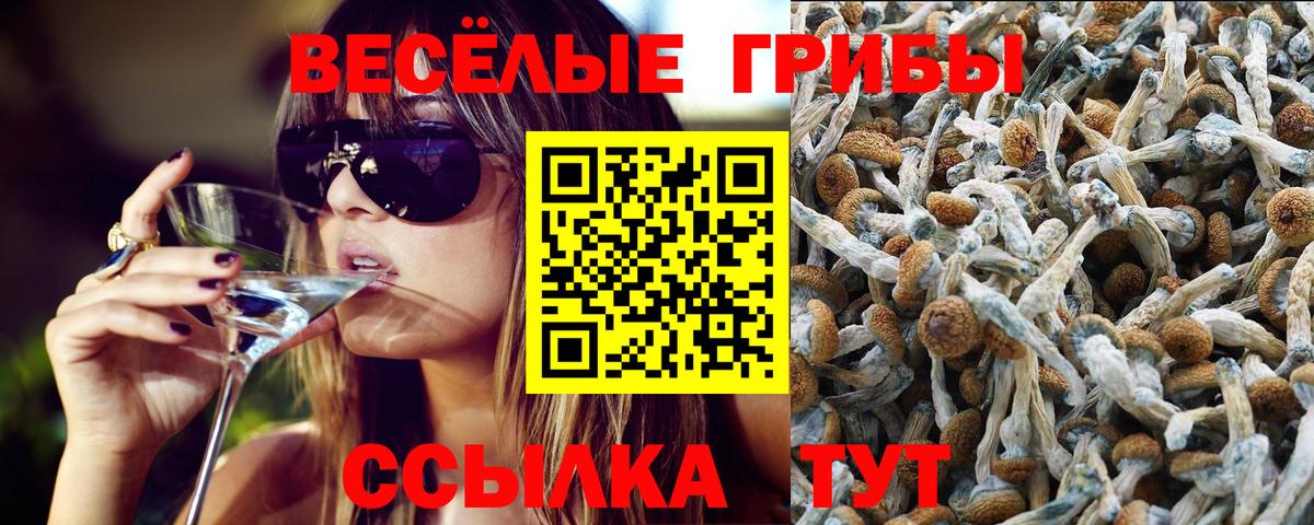 Псилоцибиновые грибы Cubensis Минеральные Воды